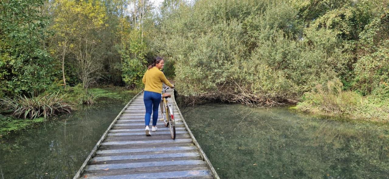 Le Nica Daire Trélazé Dış mekan fotoğraf
